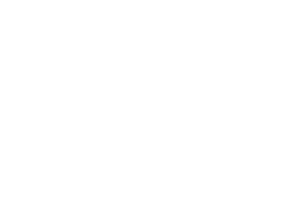 mfrontas.lt
